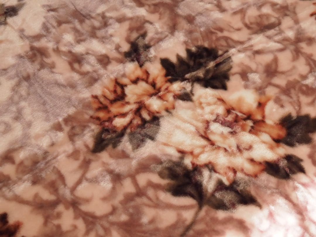 のほほん毛布2点同梱