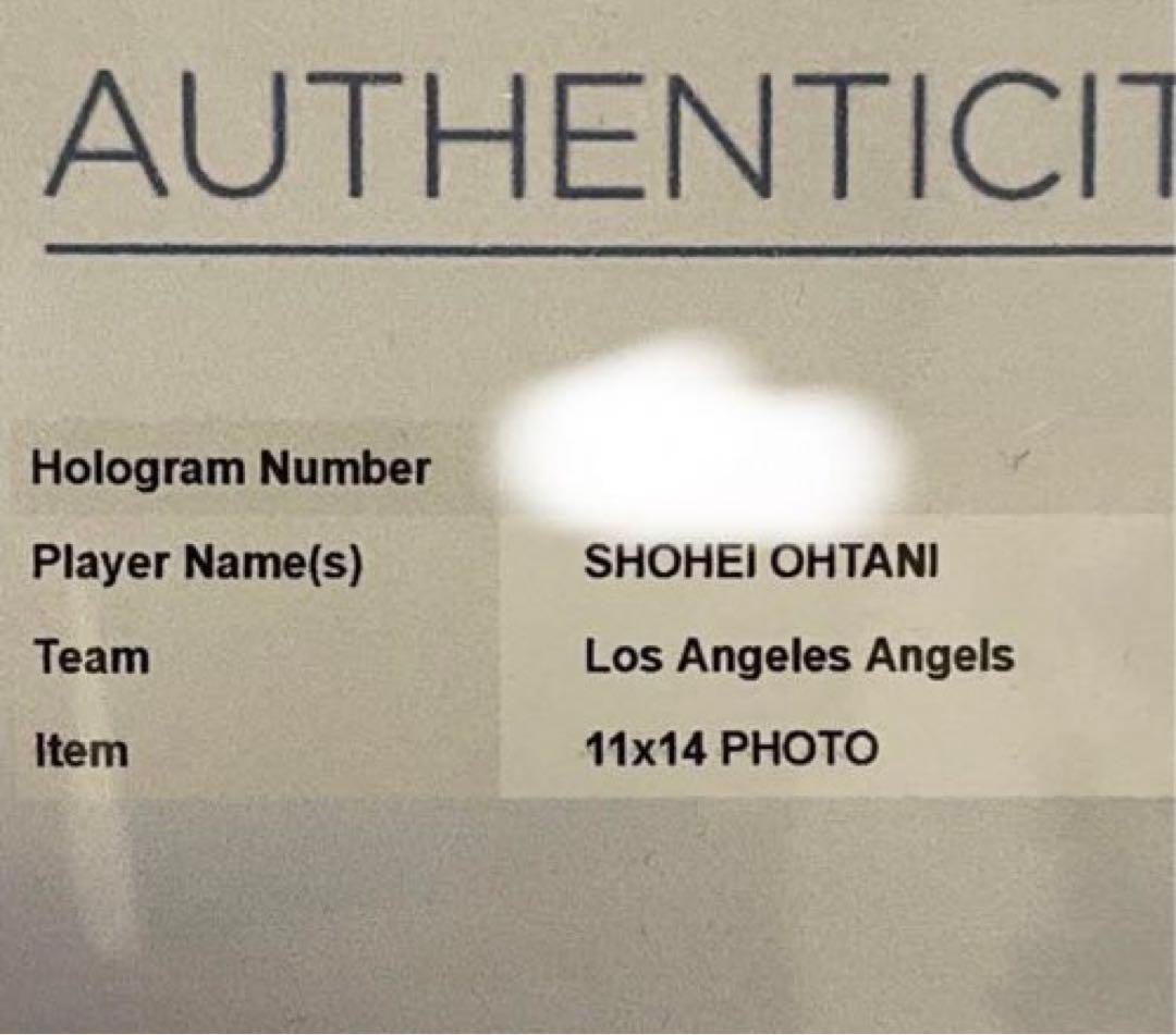 ◎特大額装50cm 限定17枚　大谷翔平　直筆サイン　ユニフォーム　ドジャース