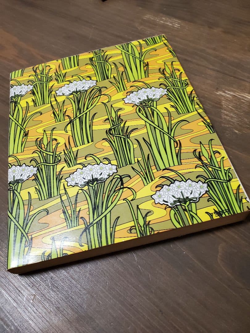 直野祥子集☆ブロンズ社