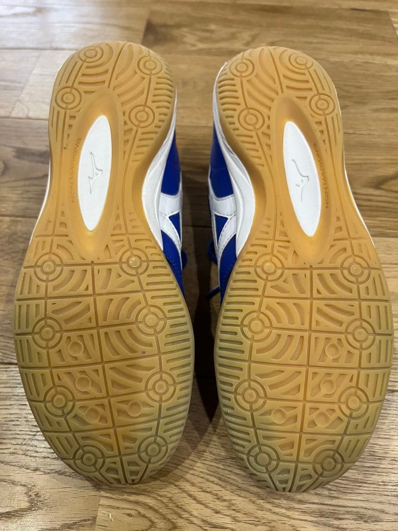 ミズノ　モレリアMizuno MORELIA in ブルー フットサルシューズ