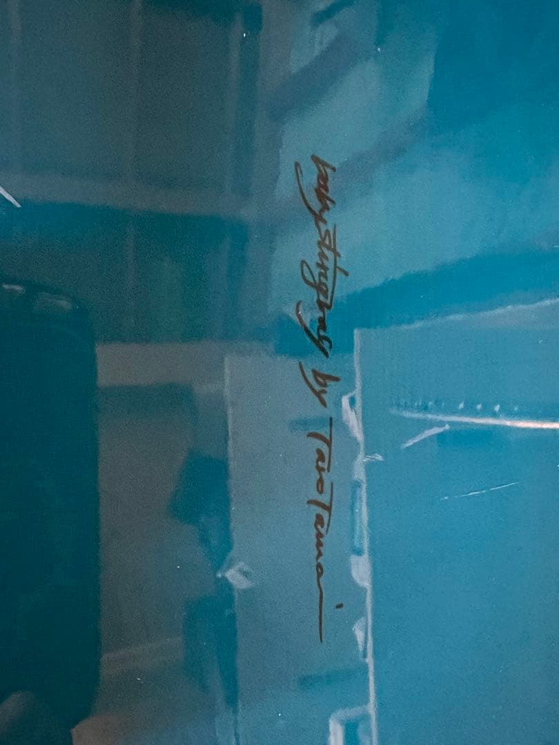 gentemstick ゲンテンスティック　ベビースティングレイ