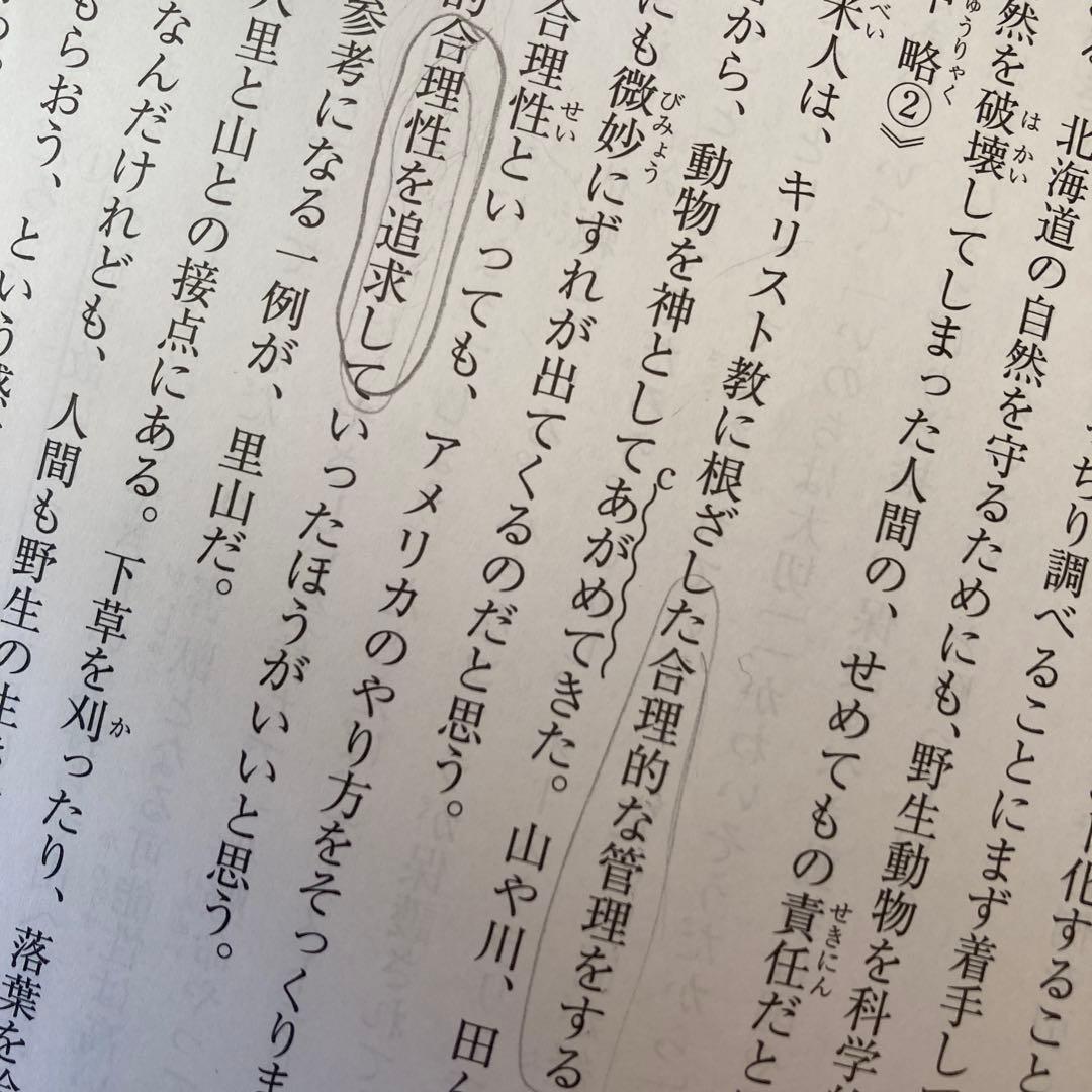 サピックス5年生テスト2025年分(全12回)フルセット&コース分け基準表6枚