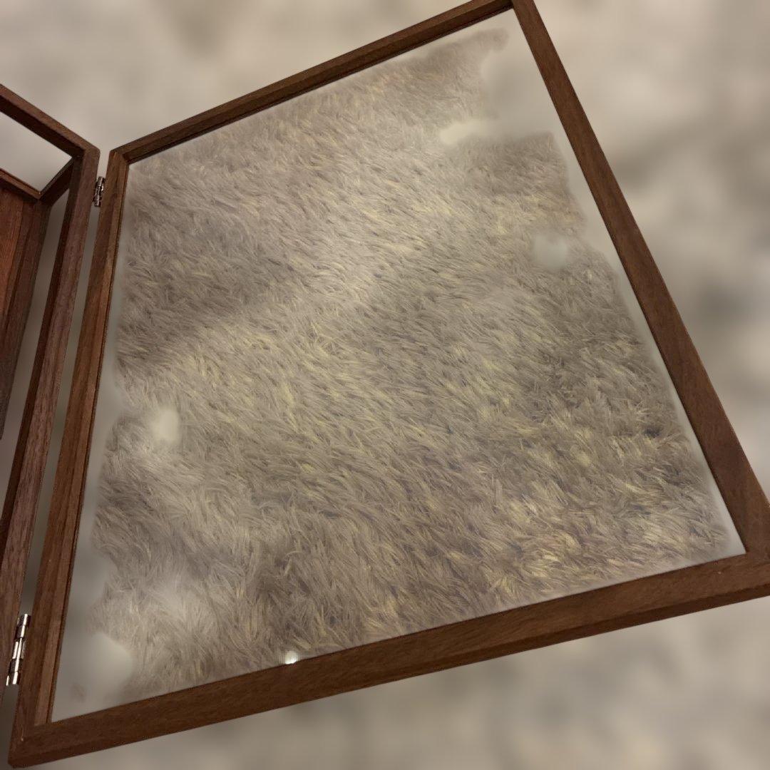 La-Luz ラ・ルース　ウォールナット ケース L ジュエリーボックス