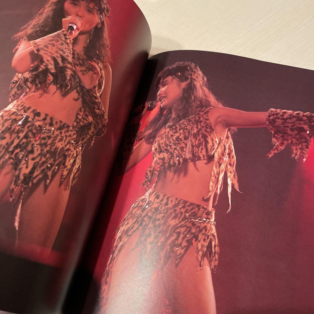 本田美奈子　スパークリング美奈子　写真集　昭和アイドル