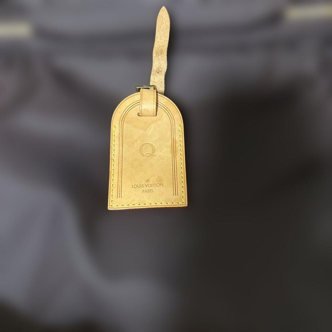 Louis Vuitton ヴェルニ パープル　ペガス45 キャリーケース