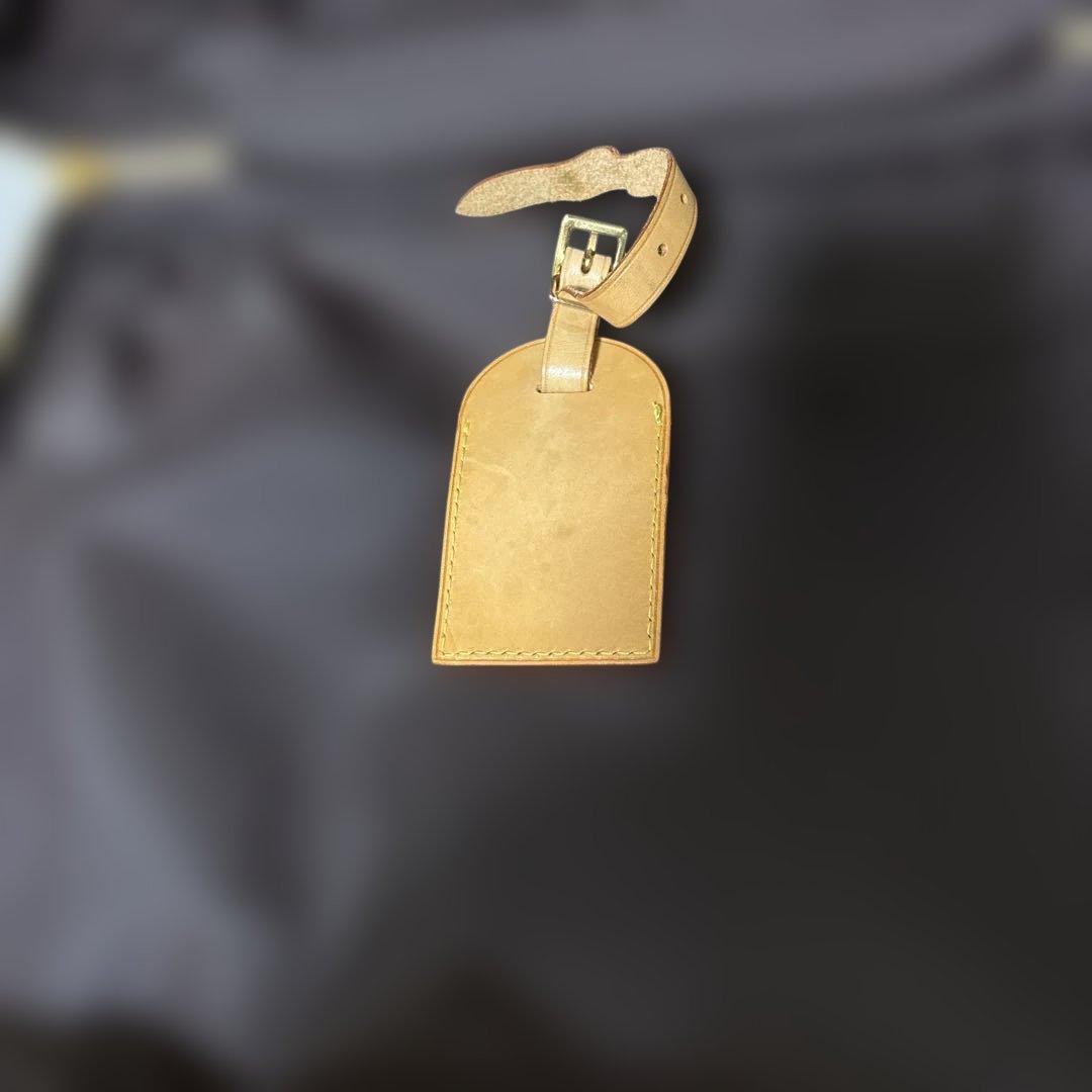 Louis Vuitton ヴェルニ パープル　ペガス45 キャリーケース