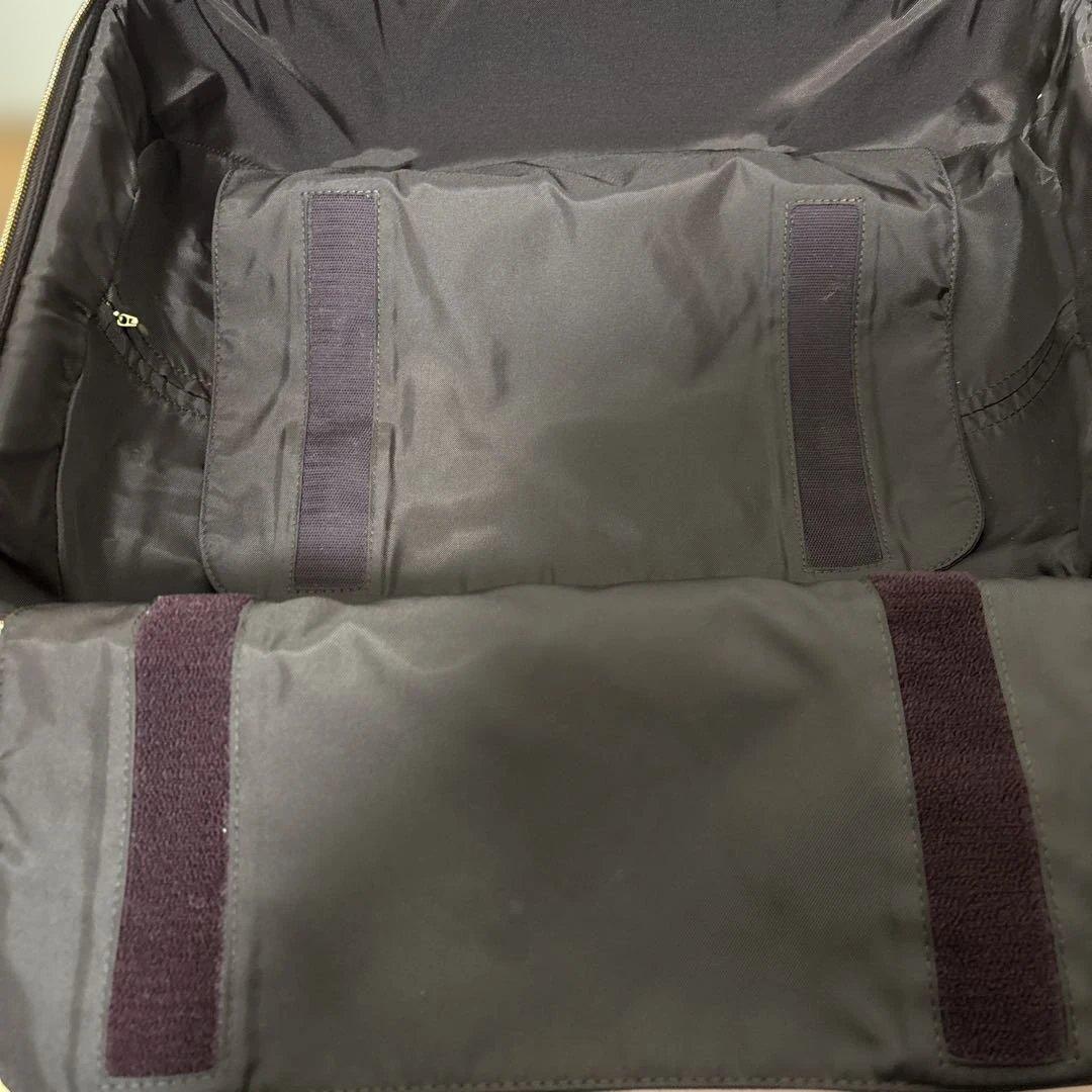 Louis Vuitton ヴェルニ パープル　ペガス45 キャリーケース