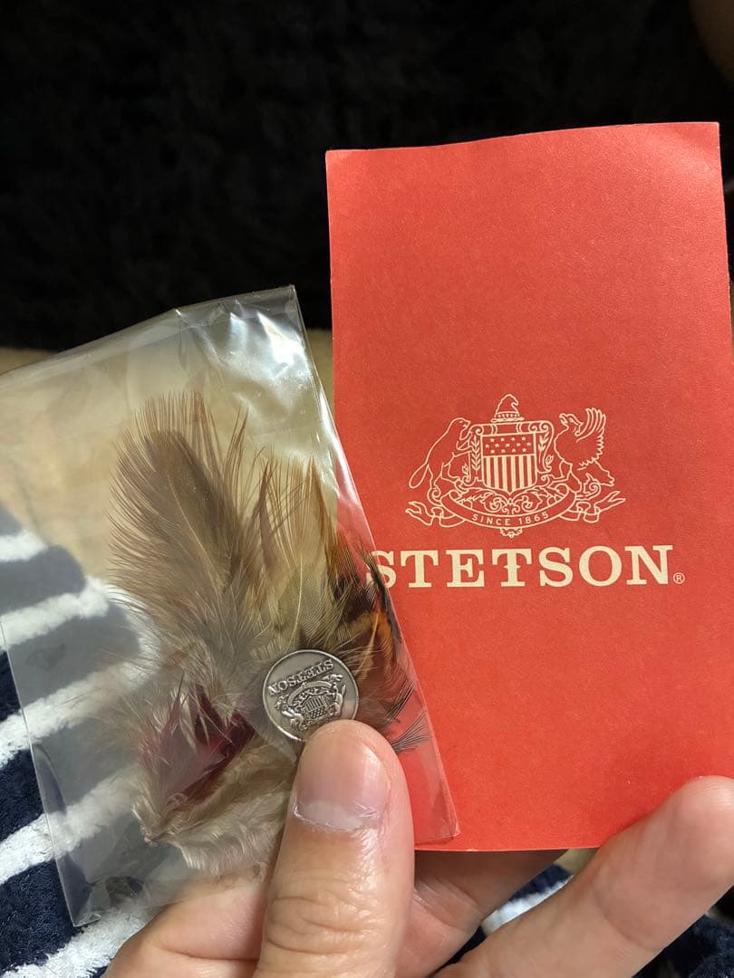 STETSON sovereign BIGサイズ　レア