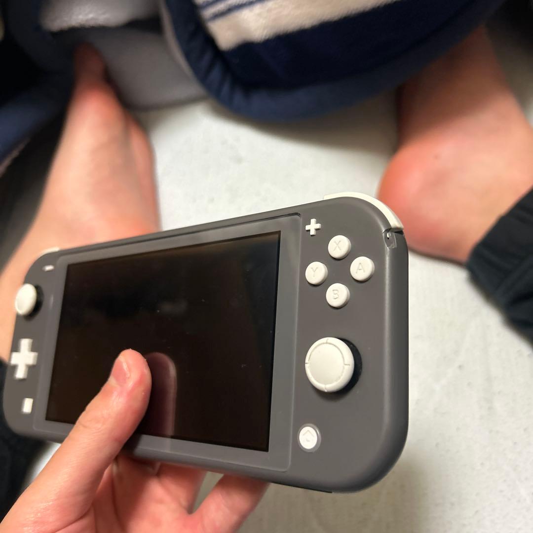 Nintendo Switch Lite グレー 本体SDカードあり