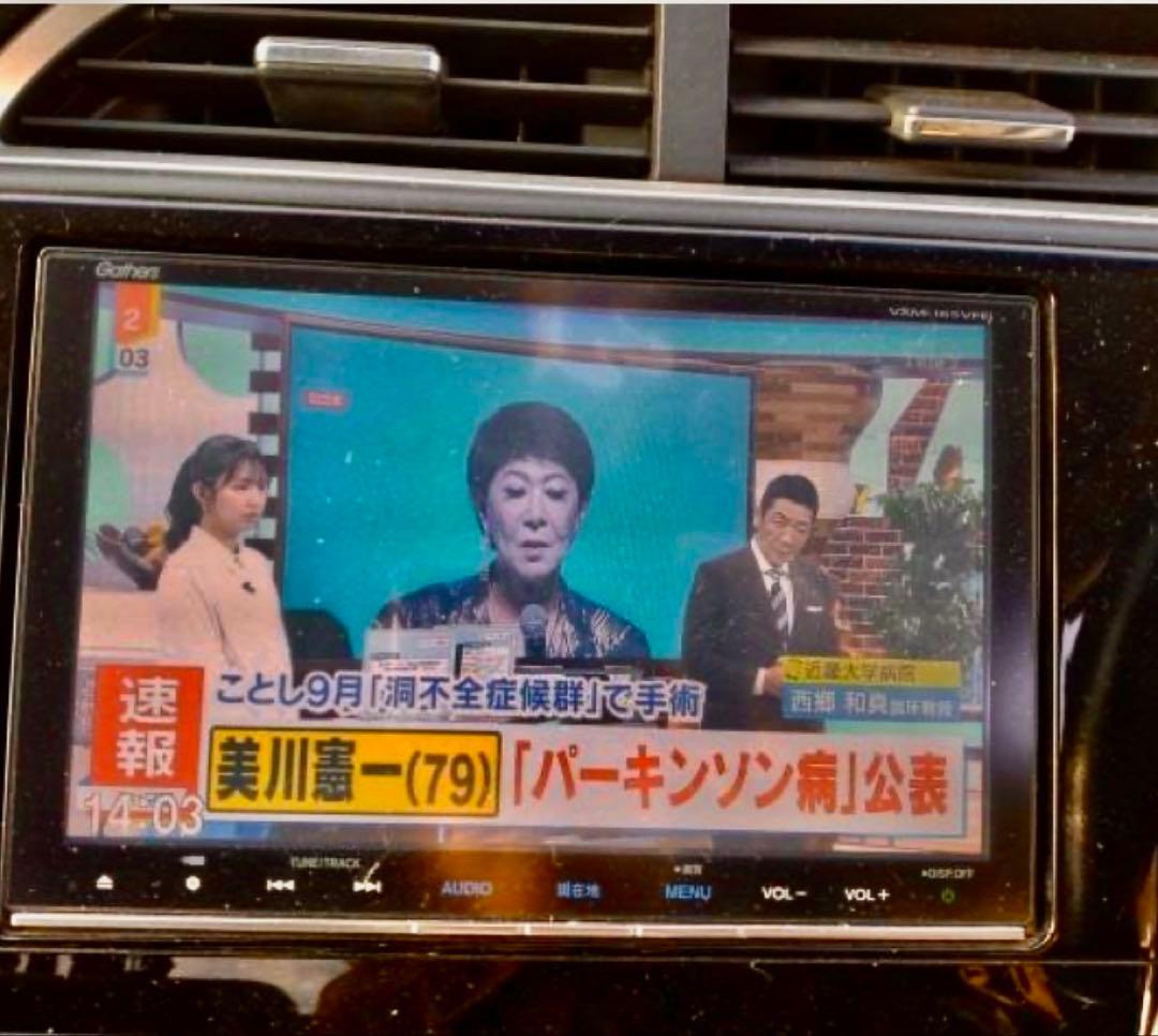 Gathers VXM-165VFEi カーナビ