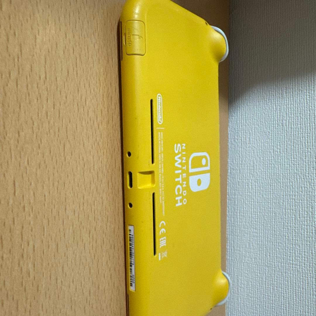 【美品】Nintendo Switch lite本体　ライト本体　お得セット