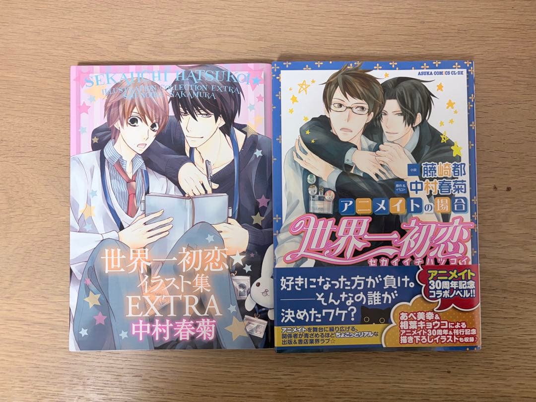 世界一初恋　19巻セット　中村春菊　小冊子付き