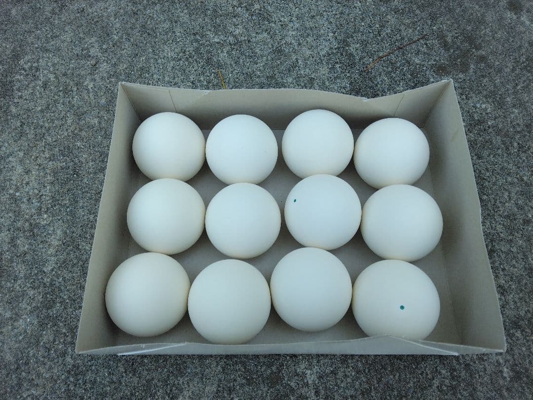 ソフトテニスノーブランドボール86個+12個の新品ボール