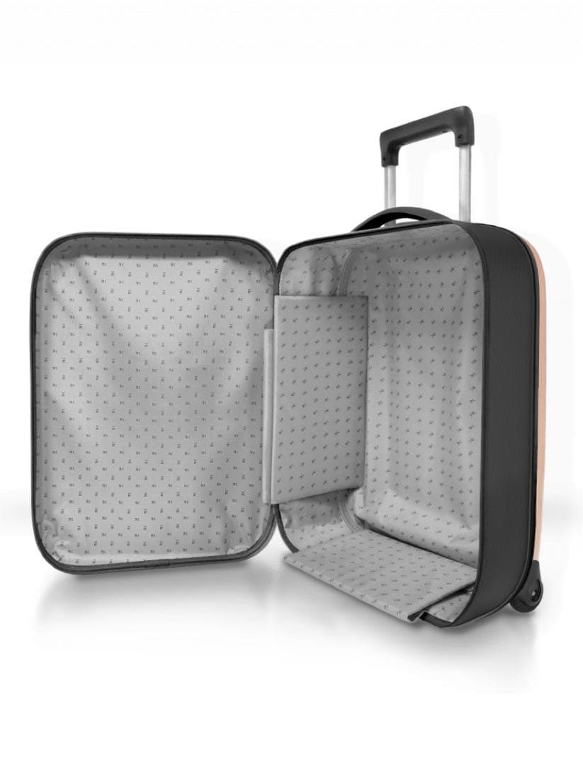 Rollink FLEX 40Lローズスモーク