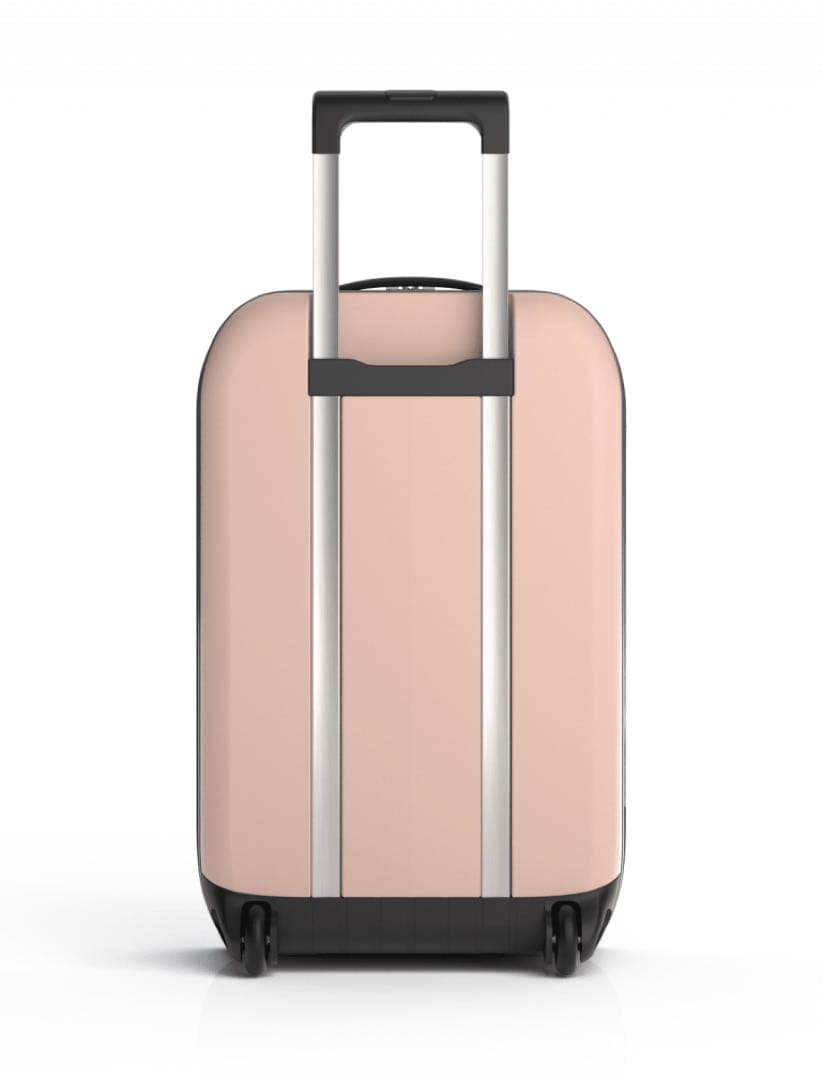 Rollink FLEX 40Lローズスモーク