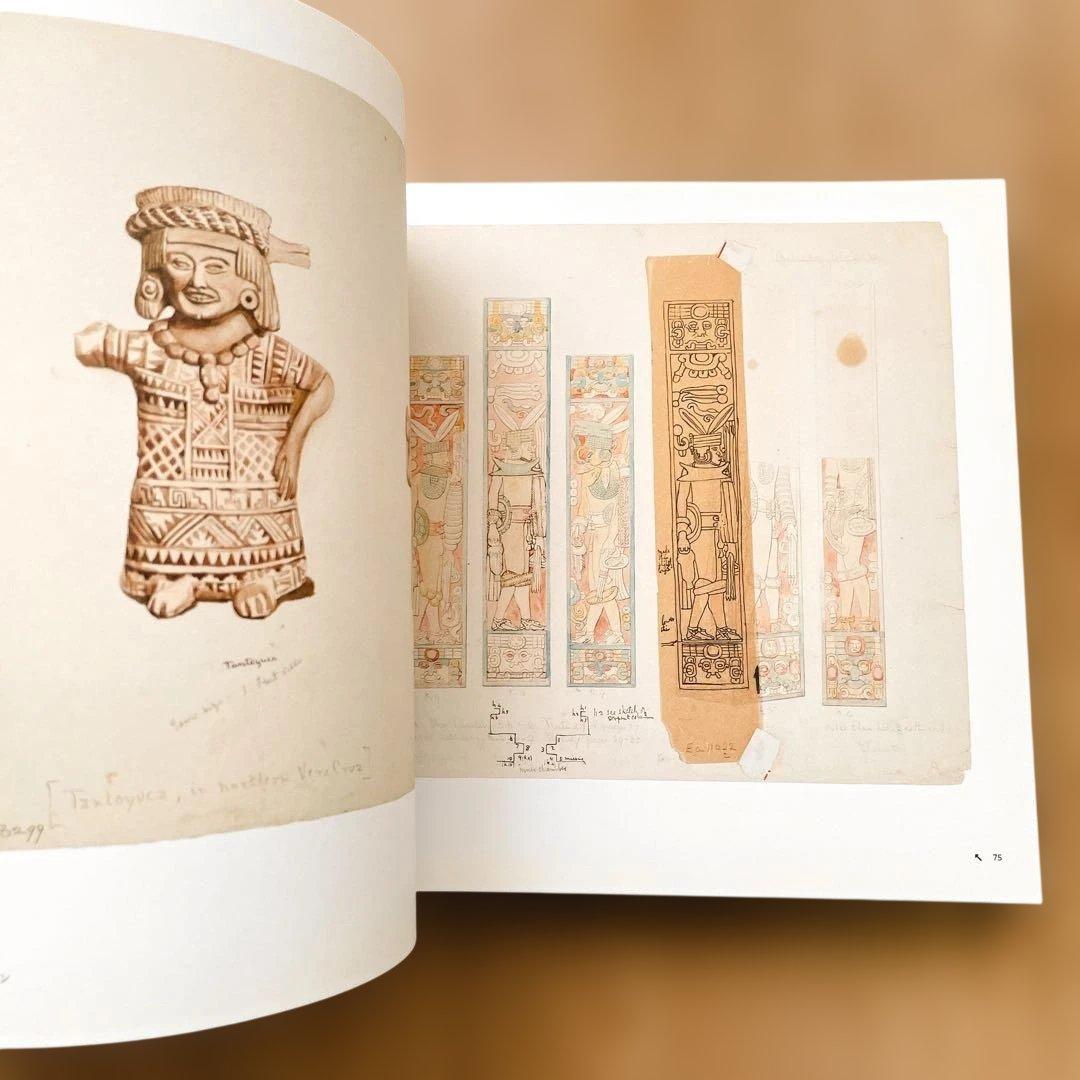 【短期出品です】冒険家たちのスケッチブック 発見と探検のリアル・グラフィックス