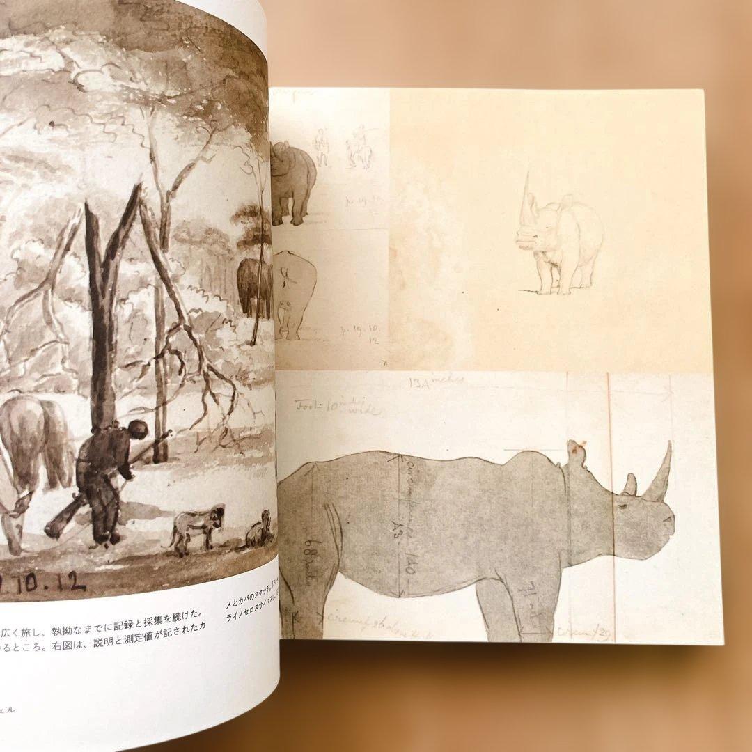 【短期出品です】冒険家たちのスケッチブック 発見と探検のリアル・グラフィックス