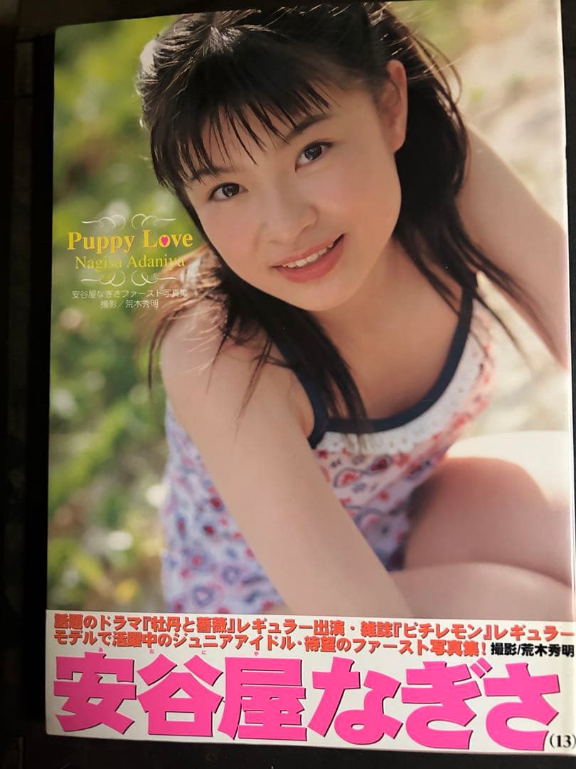 Puppy Love 安谷屋なぎさ　直筆サイン入り　ファースト写真集