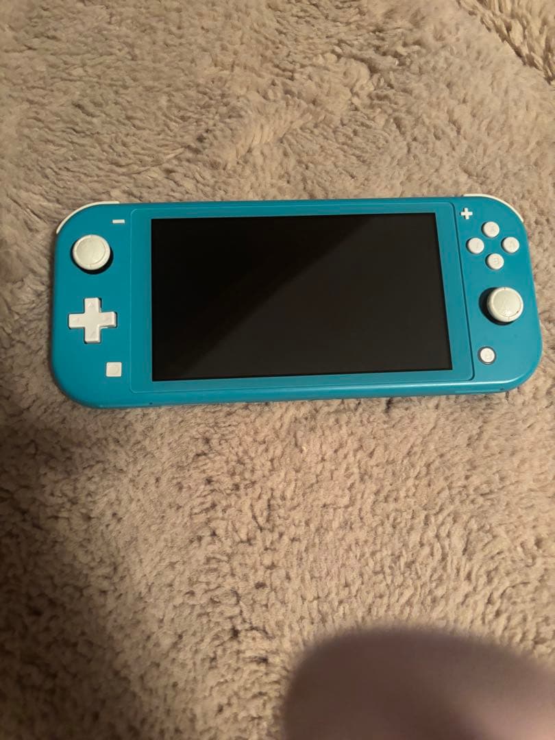 m*n様 Nintendo Switch Lite 水色