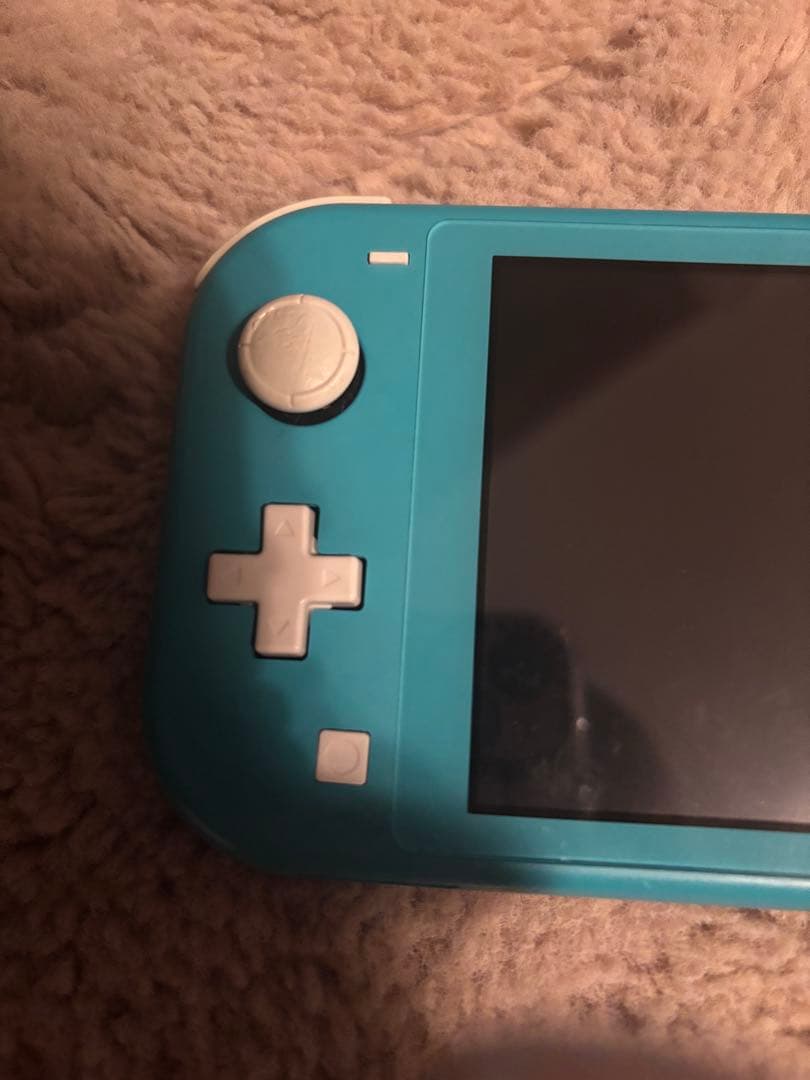 m*n様 Nintendo Switch Lite 水色