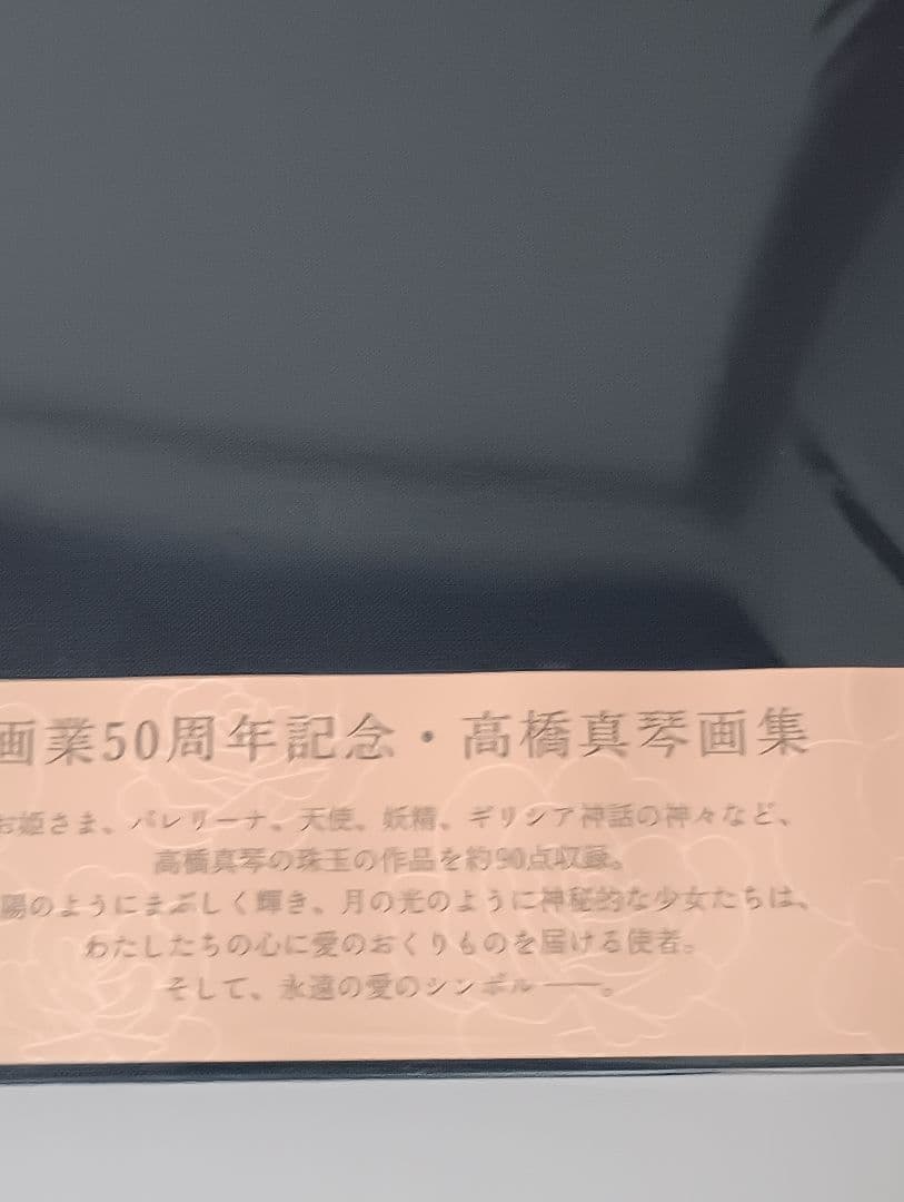 高橋真琴 愛のおくりもの 画集