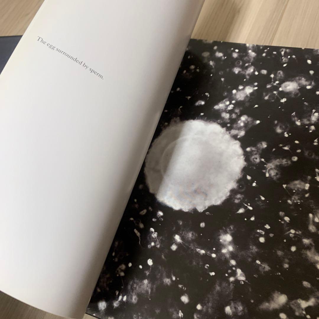 【英字版】A Child is Born 赤ちゃんの誕生