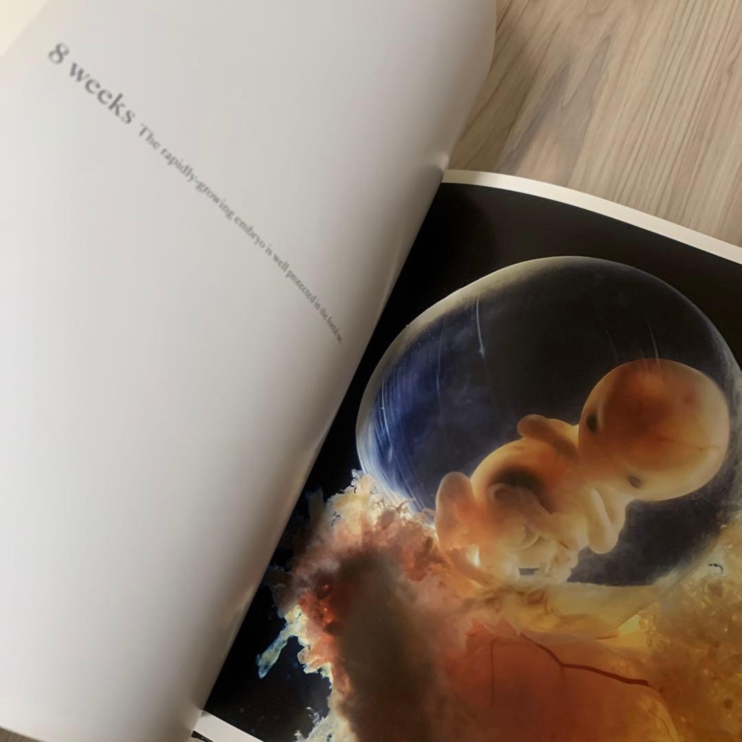 【英字版】A Child is Born 赤ちゃんの誕生