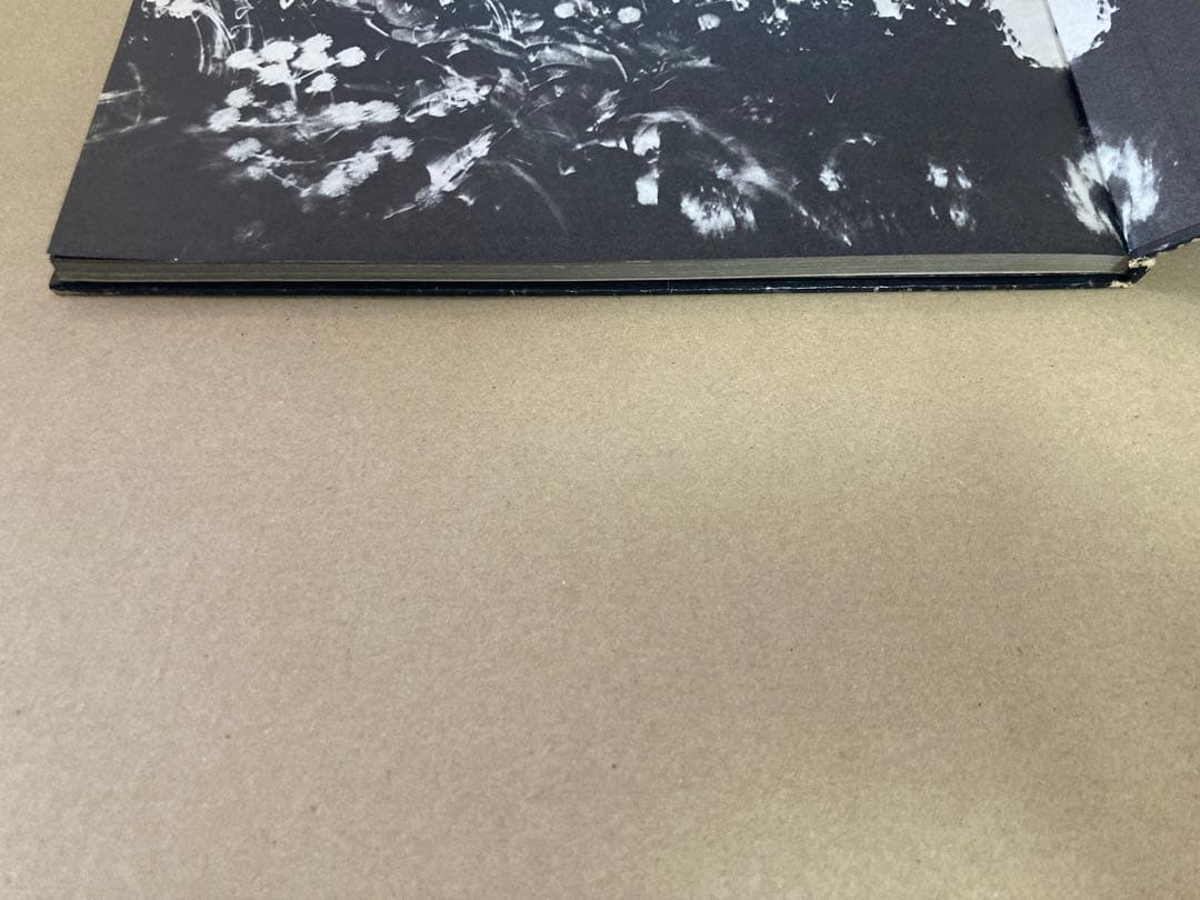 山村雅昭 写真集 植物に