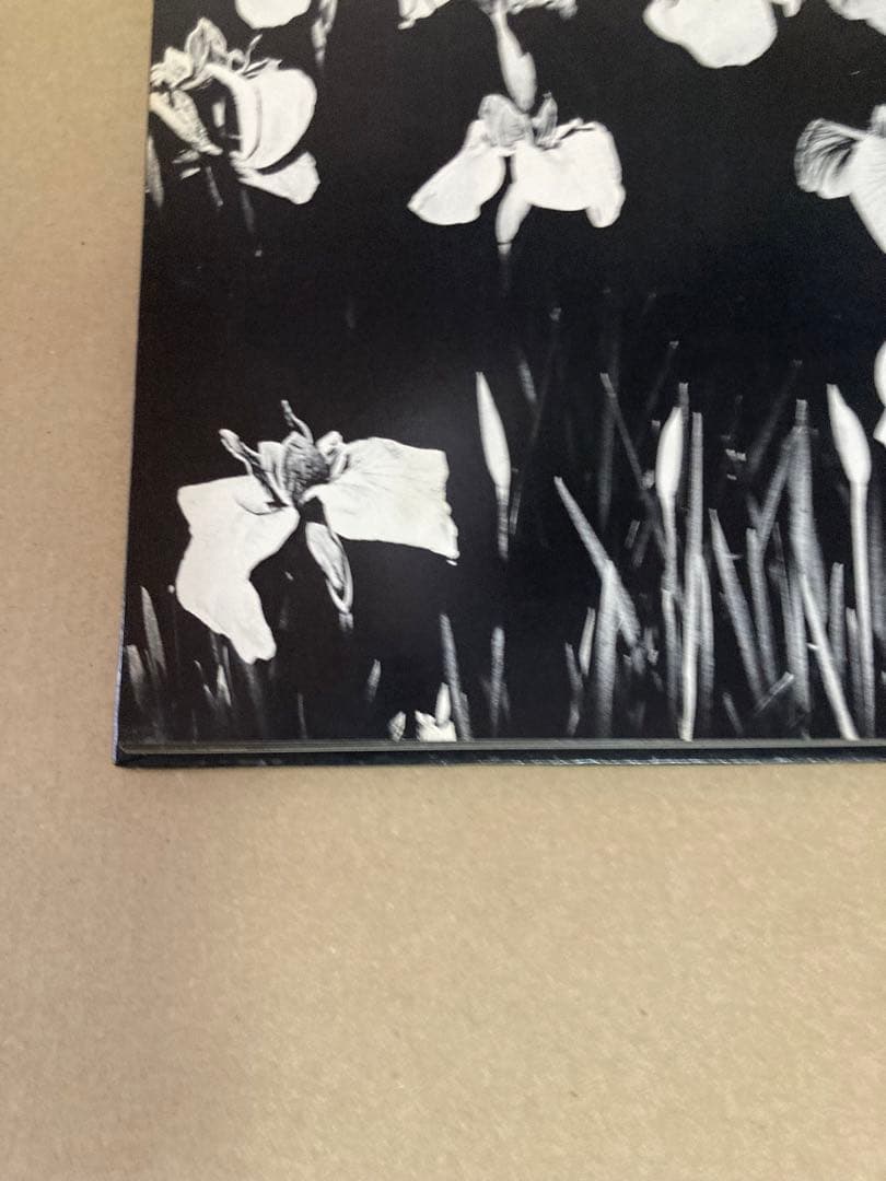 山村雅昭 写真集 植物に