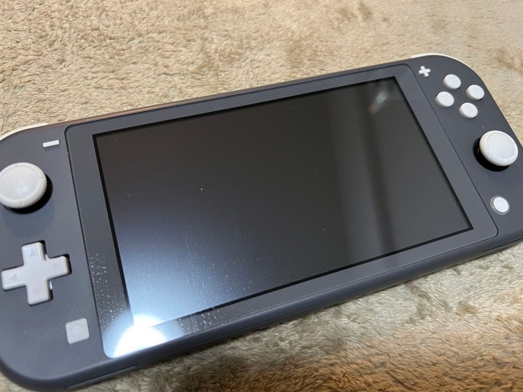 Nintendo Switch Lite 本体 + ポケモンソフト2本