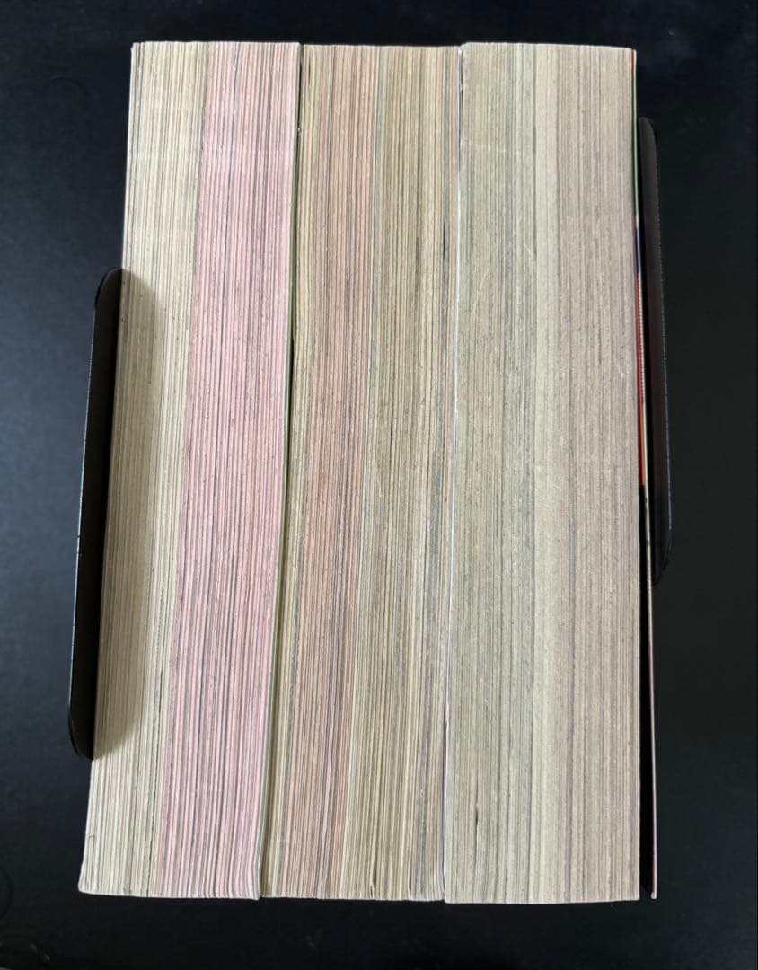 近所迷惑　家庭の事情　偽りの家　小野拓実　レディースコミック　レディコミ