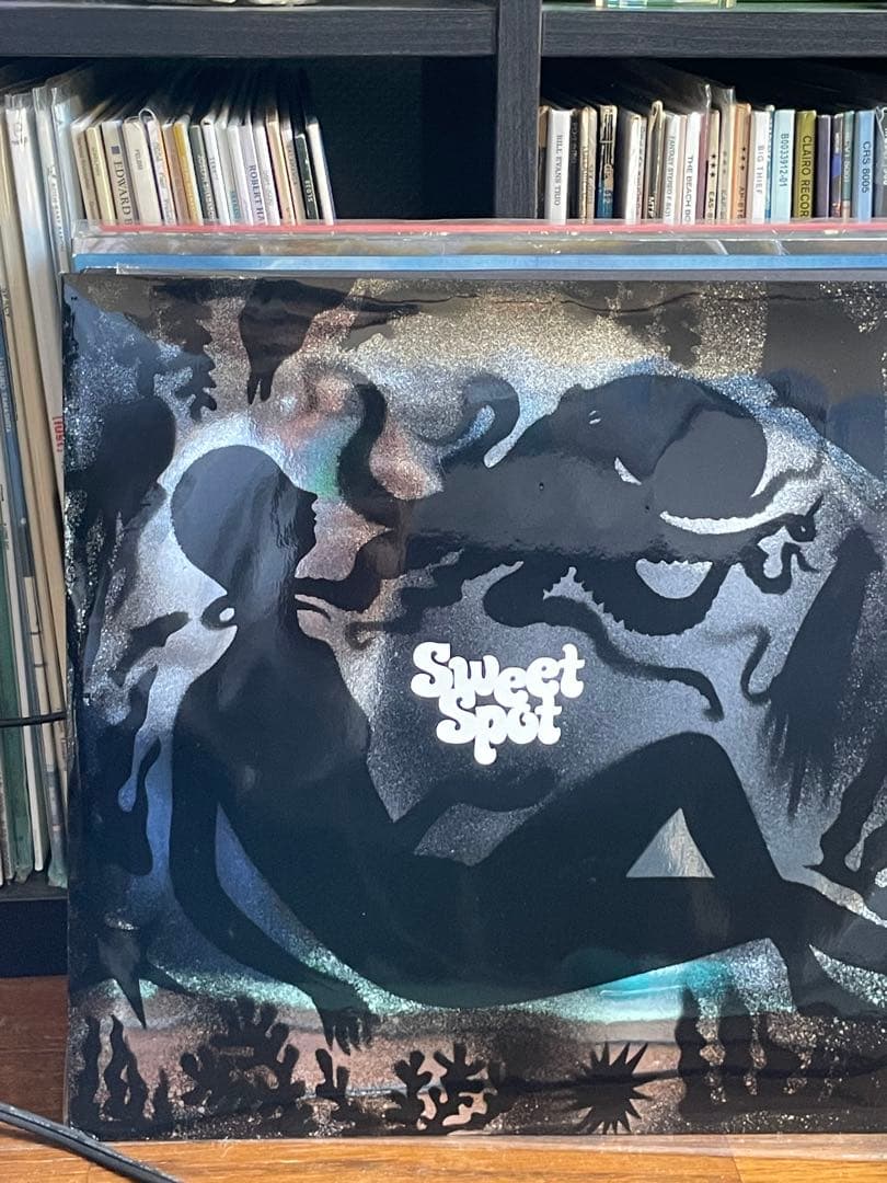 ゆらゆら帝国 Sweet Spot レコード