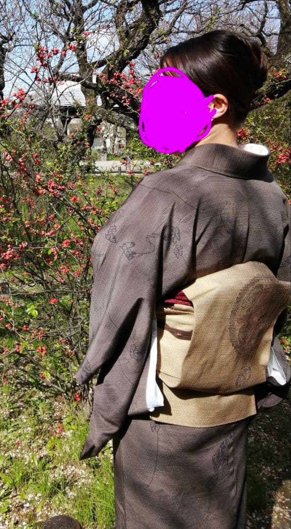 【渋め】着物と帯のセット