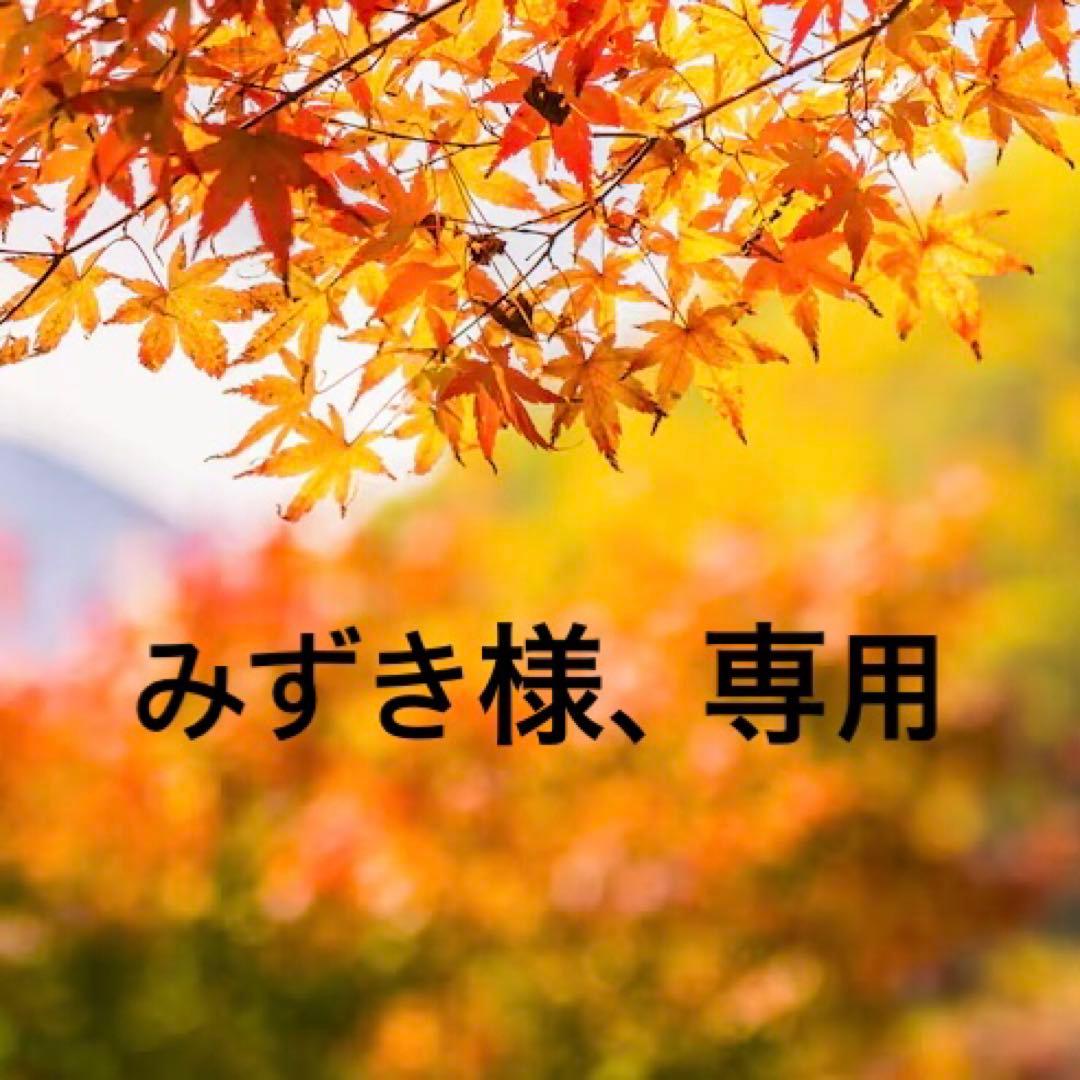 みずき様、専用