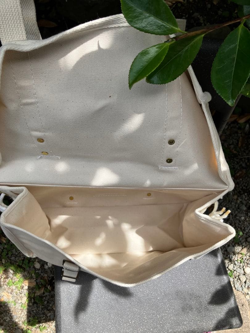 アルプス　サイドバッグ　大 2枚