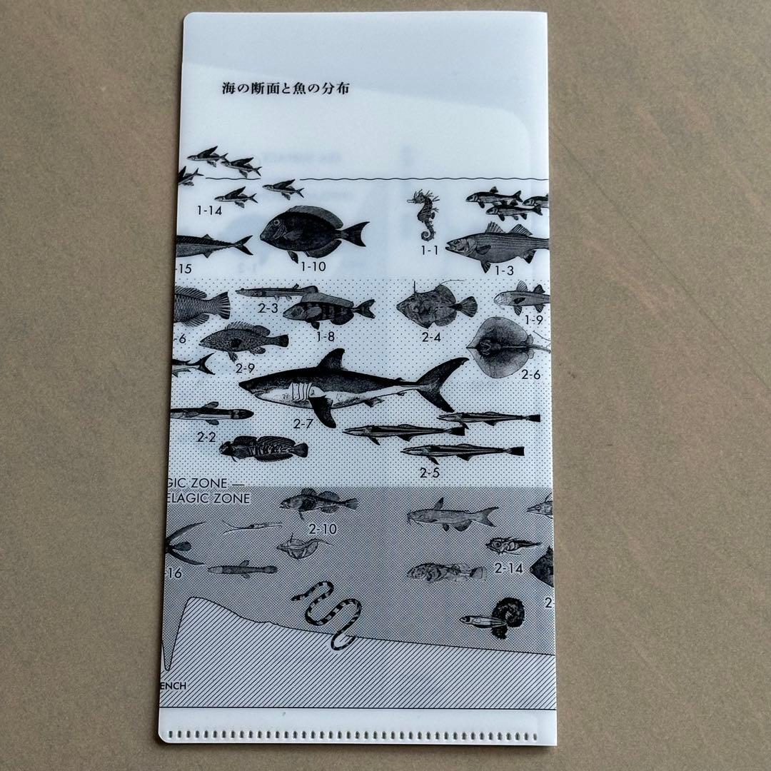 サカナクション 魚図鑑 (初回生産限定盤[2CD+魚図鑑+Blu-ray])