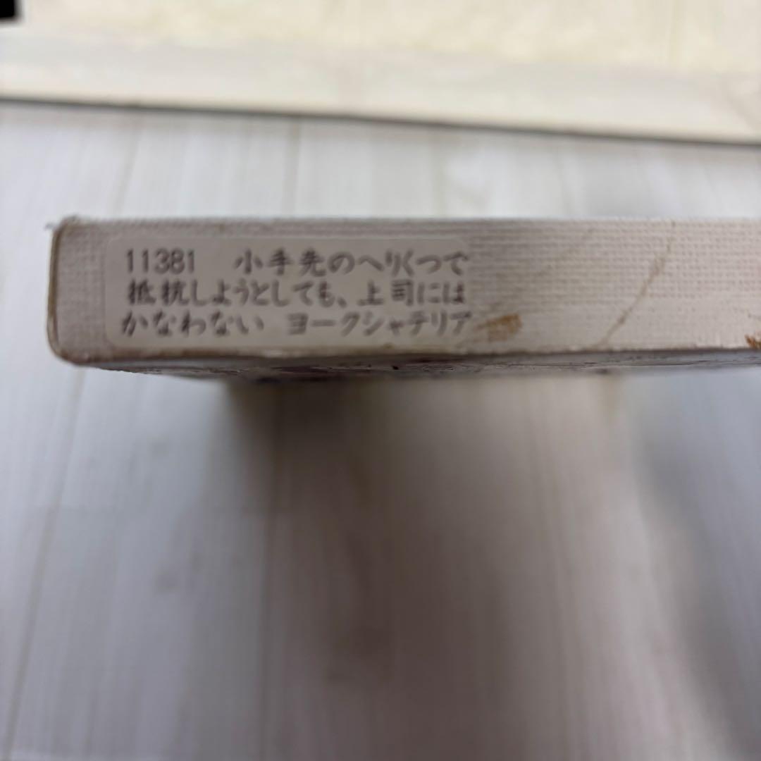 北村直登 原画 ヨークシャーテリア SMサイズ