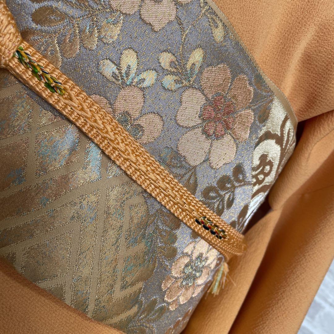 色無地　フルセット　藤紋　浜ちりめん　シンプル　礼装　カジュアル　着物　H6