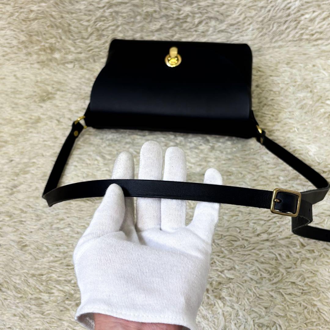 【極美品】ヘルツ ライトミニショルダー ブラック 黒 クロスボディ 斜め掛け