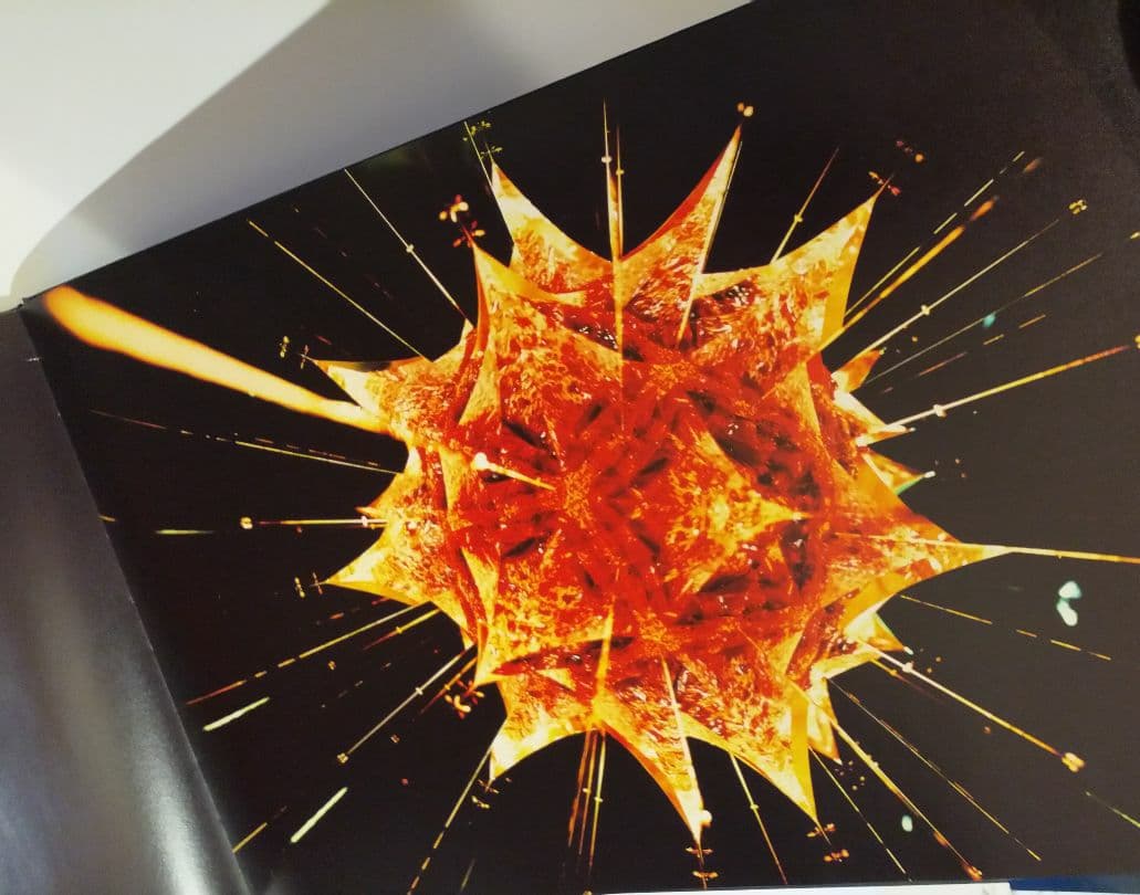 CANARY(カナリア) 　志賀 理江子　写真集