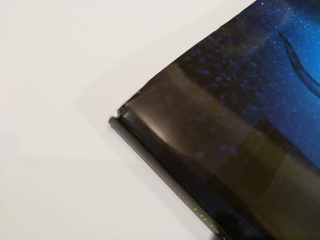 CANARY(カナリア) 　志賀 理江子　写真集