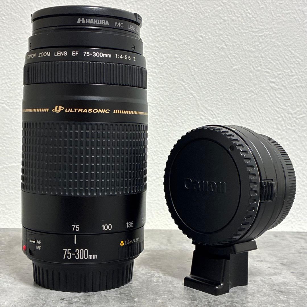 ⭐️美品⭐️Canon EF 75-300 USM & EF-EOS M アダプター