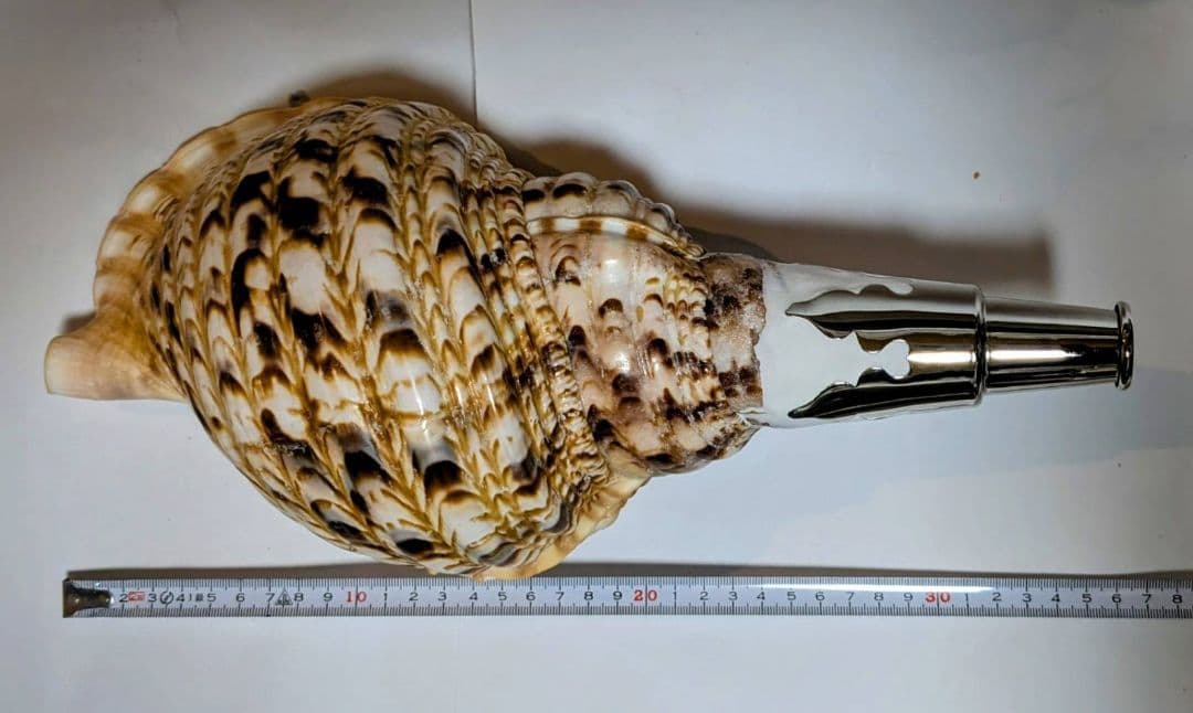 法螺貝　35.0cm 貝袋付　1037g 28000円　山伏修験