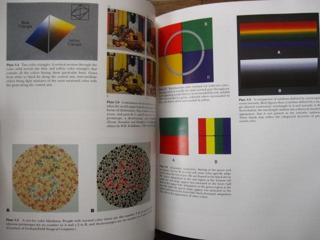 洋書 Vision Science / Stephen E. Palmer