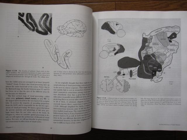 洋書 Vision Science / Stephen E. Palmer