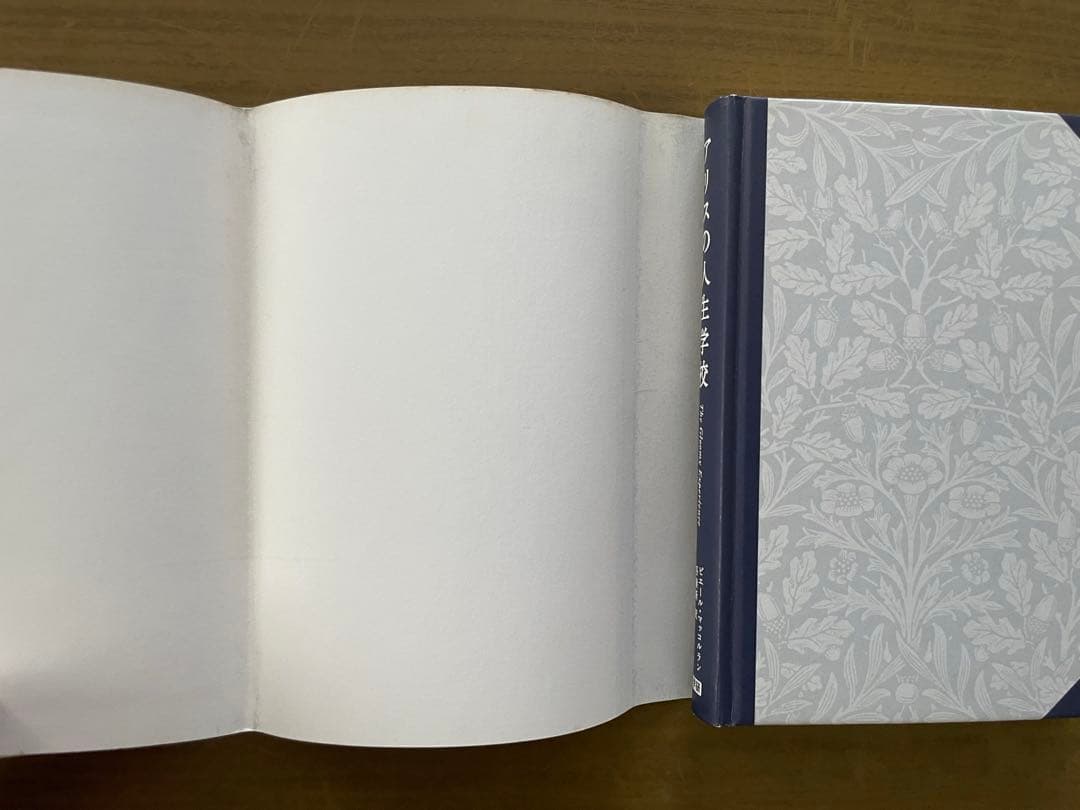 【学研】アリスの人生学校 ピエール・マッコルラン