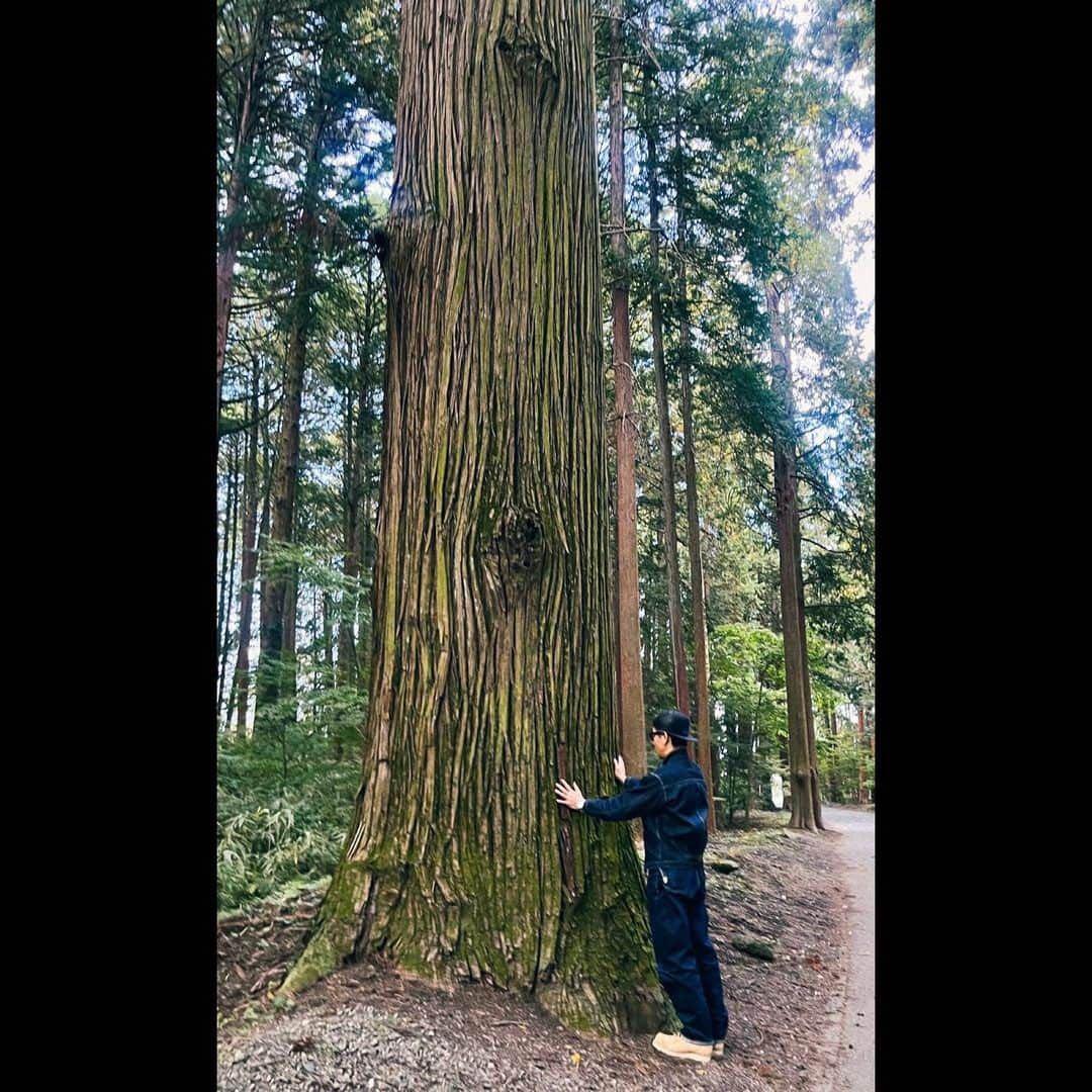 キムタク着REDWING 8833 モックトゥ ブーツ アイリッシュセッター私物