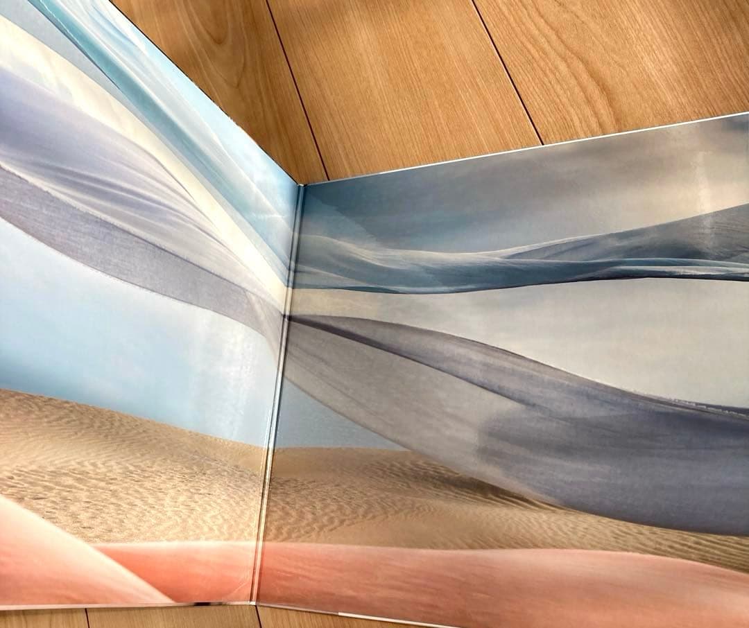 限定盤 宇多田ヒカル 初恋 シリアルナンバー入り レコード LP