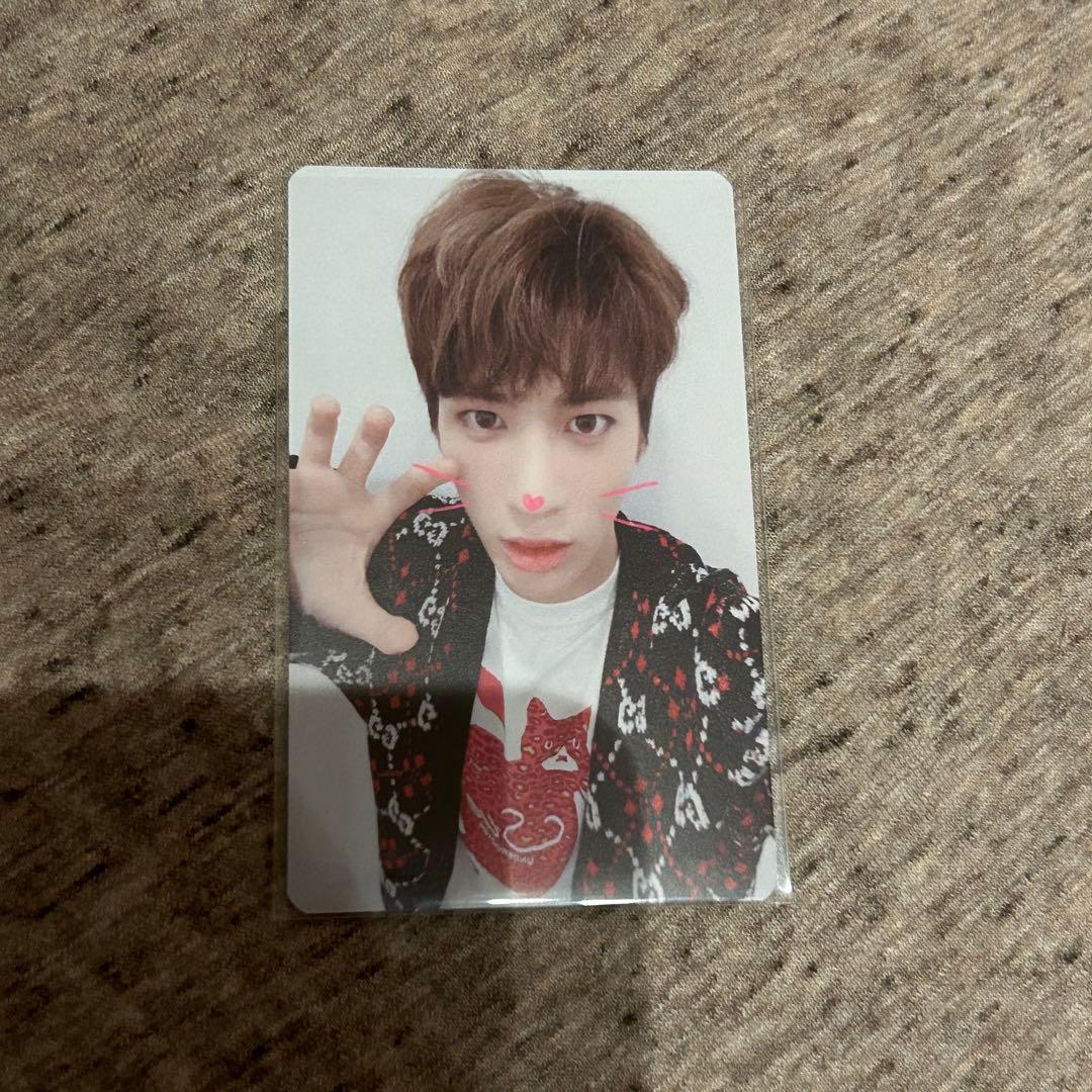 TXT テヒョン　トレカ　セット　cat&dog 特典