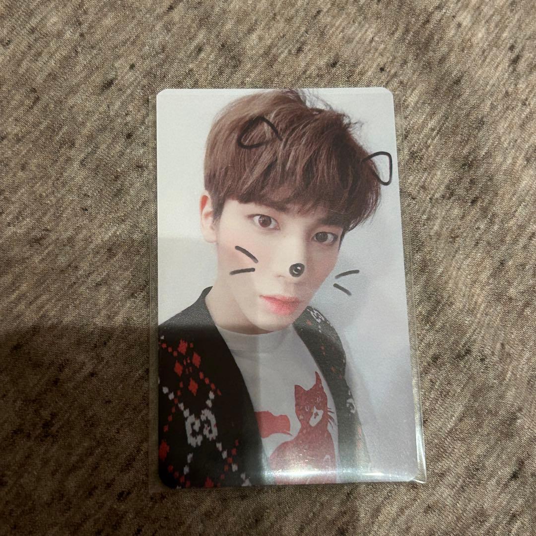 TXT テヒョン　トレカ　セット　cat&dog 特典